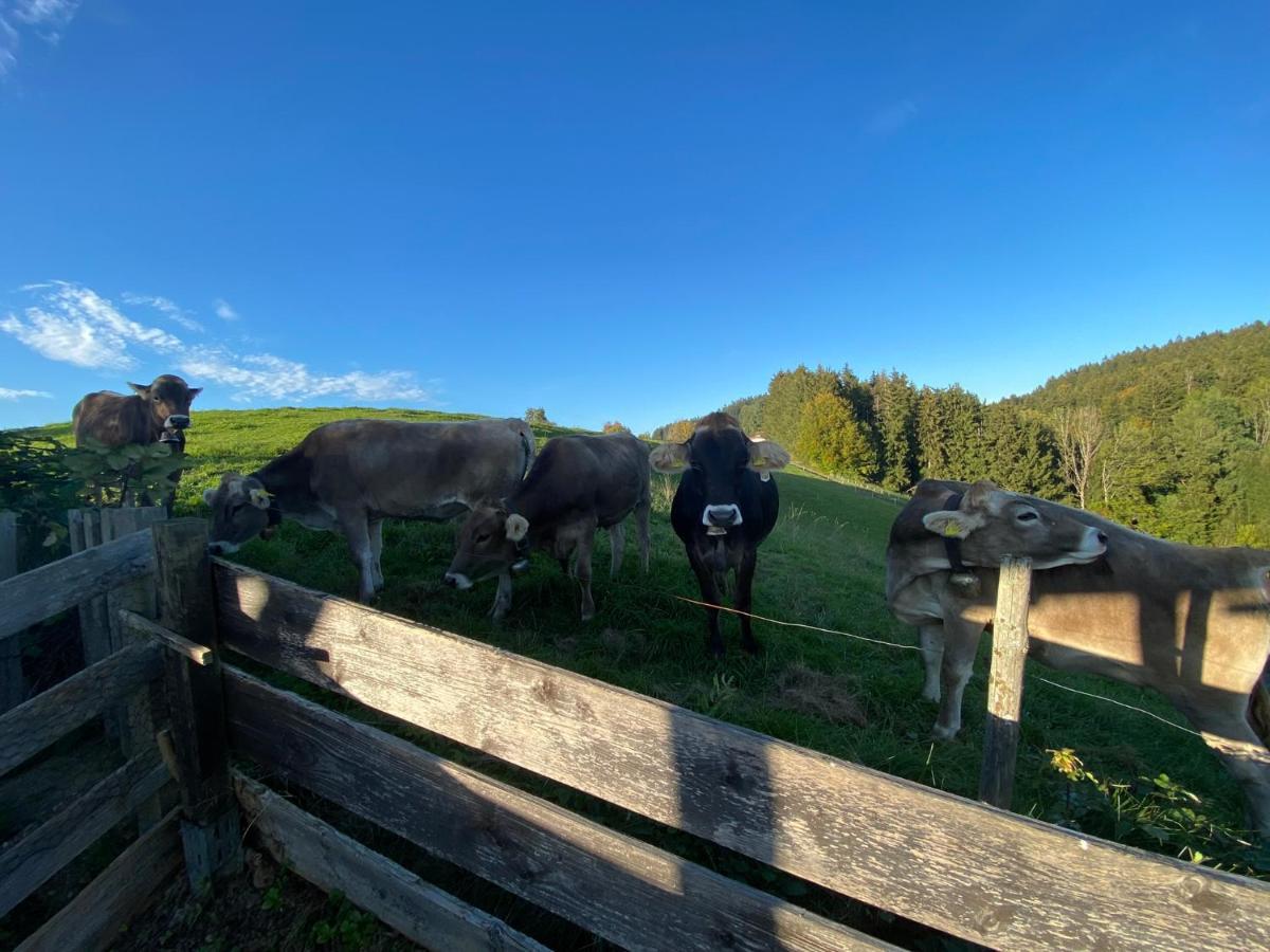 Ferienwohnung Bergblick Wangen Im Allgaeu Mit Garten, 2022 Komplett Renoviert Esterno foto