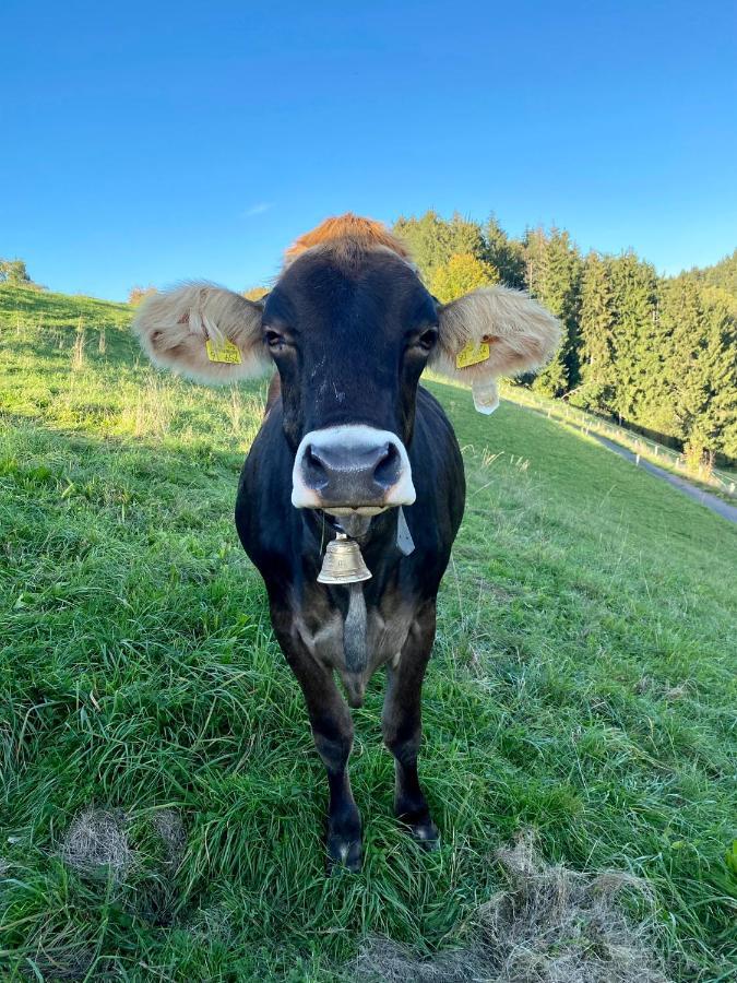 Ferienwohnung Bergblick Wangen Im Allgaeu Mit Garten, 2022 Komplett Renoviert Esterno foto